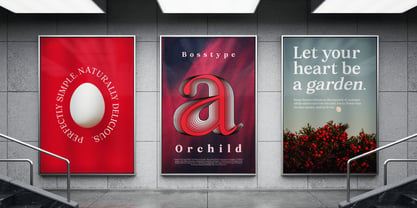 Orchild Serif Font Poster 8