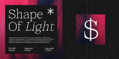Orchild Serif Font Poster 7