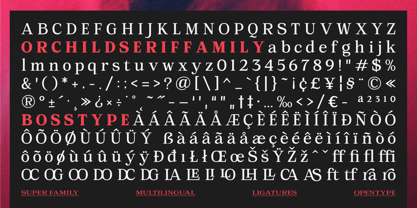 Orchild Serif Font Poster 11
