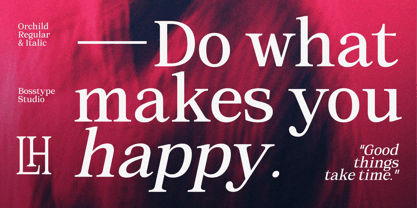 Orchild Serif Font Poster 12