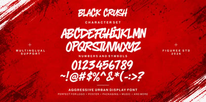 Black Crush Font Poster 5