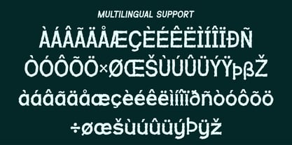 Roughney Font Poster 8
