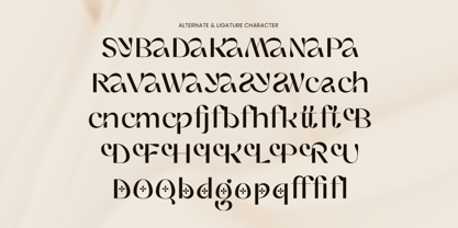 Syora Font Poster 12