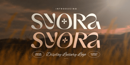 Syora Font Poster 1