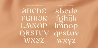 Syora Font Poster 11