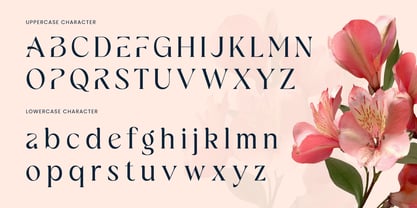 Rukila Font Poster 10