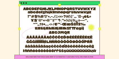 Charm Florals Font Poster 10