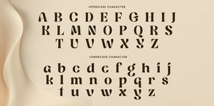 Yoland Font Poster 9