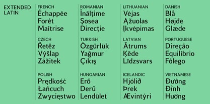 Sodar Font Poster 10