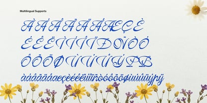Ranoa Scaloth Font Poster 10