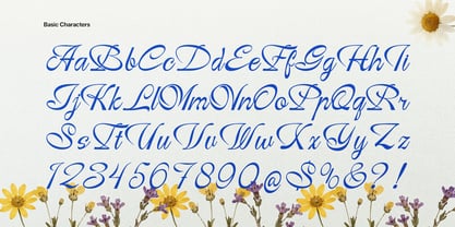 Ranoa Scaloth Font Poster 9