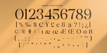 Laurent Font Poster 11