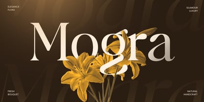 Laurent Font Poster 7