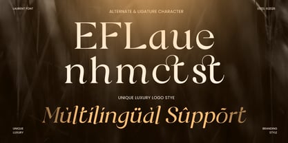 Laurent Font Poster 13