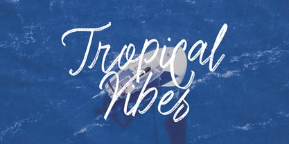 Restocke Script Font Poster 5
