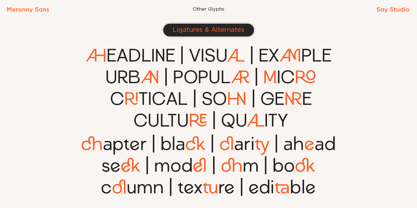 Meronny Font Poster 9