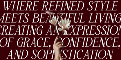 Willow Starlion Font Poster 6