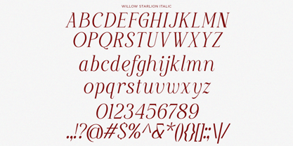 Willow Starlion Font Poster 10