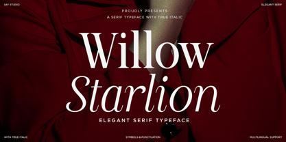 Willow Starlion Font Poster 1