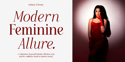 Willow Starlion Font Poster 4