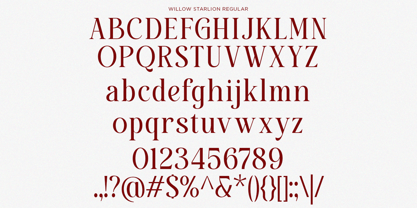 Willow Starlion Font Poster 9