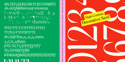 Matrixgi Font Poster 10