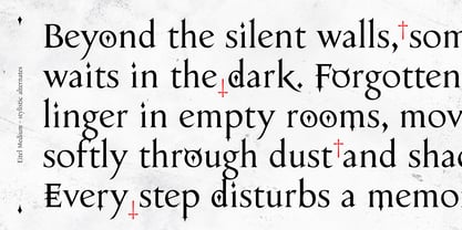 Eitel Font Poster 5