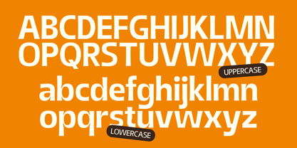 Softa Font Poster 11