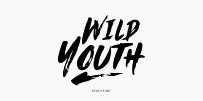 Wild Youth Font Poster 1