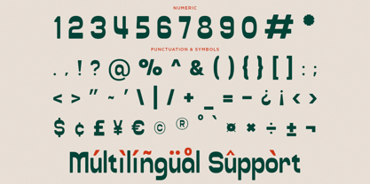 Roejak Font Poster 10