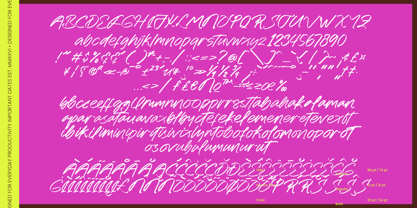 Belle Aurelia Font Poster 10