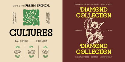 Molusen Font Poster 9