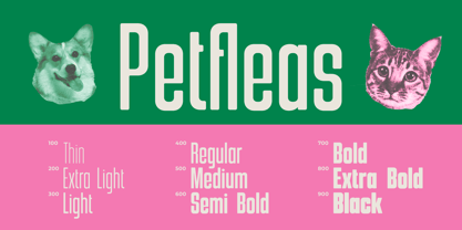 Koberon Font Poster 14
