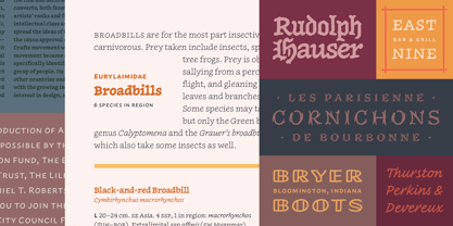 Inkwell Font Poster 7