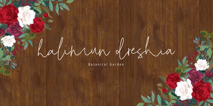 Bisklend Signature Font Poster 4