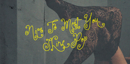 Shine Phobia Font Poster 8
