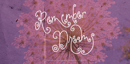 Shine Phobia Font Poster 7