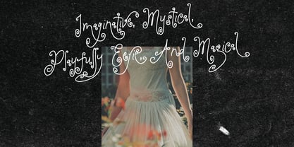 Shine Phobia Font Poster 13