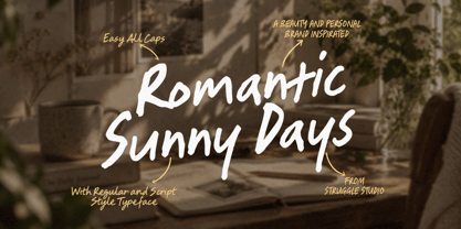 Romantic Sunny Days Font Poster 1