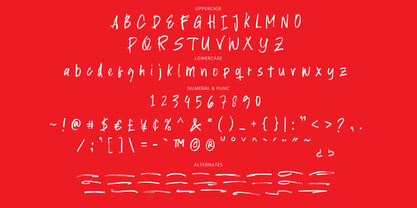 Fasturise Brush Font Poster 11