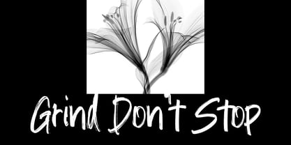 Fasturise Brush Font Poster 10