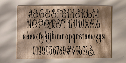 Romalise Font Poster 6