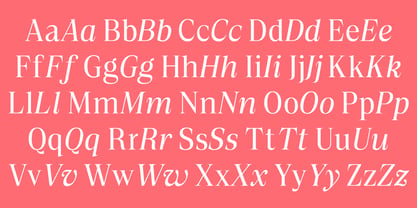 Sona Serif Font Poster 4