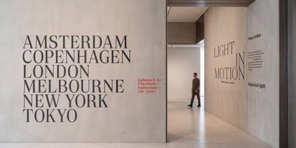 Sona Serif Font Poster 11