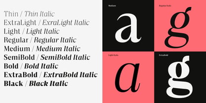 Sona Serif Font Poster 5