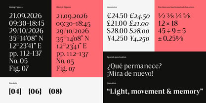 Sona Serif Font Poster 14