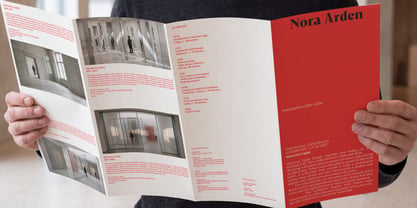 Sona Serif Font Poster 13