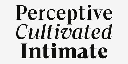 Sona Serif Font Poster 6