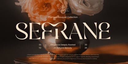Naster Font Poster 5