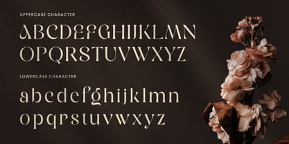 Naster Font Poster 10